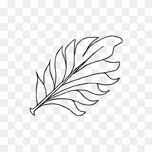 leaf silhouette png