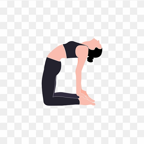 Transparent Yoga Poses Clipart - Yoga Pose Logo Design, HD Png Download ,  Transparent Png Image - PNGitem
