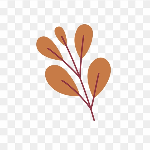 vector flowers png