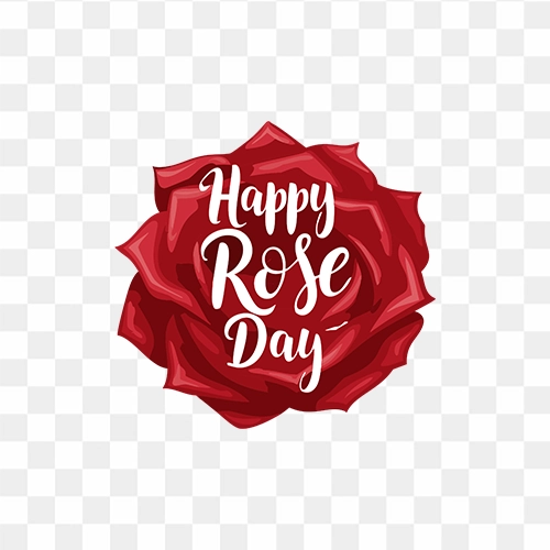 Happy Rose Day Beautiful text on Red Rose Flower PNG