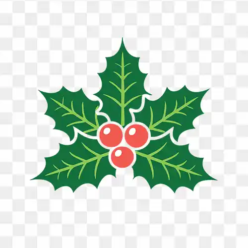 Holly Berry Christmas Icon Png Image free download